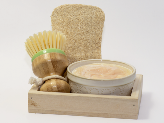 Solid Dish Soap Set -